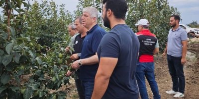 Kozan’da dolu sonrası hasar tespiti başladı