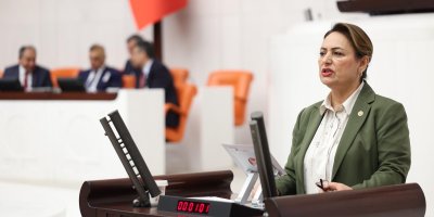 Müzeyyen Şevkin’den akademik liyakat ve eşitlik çağrısı