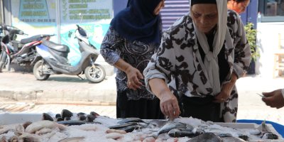 Adana’da sıcak hava balık satışlarını yüzde 90’a kadar düşürdü
