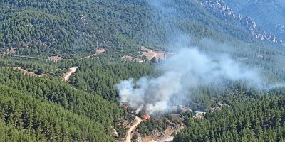 Feke’de iki ayrı noktada orman yangını: Ekiplerin müdahalesi sürüyor