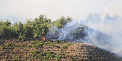 Adana’da orman yangını 70 hektar büyüklüğüne ulaştı