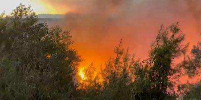 Kozan’da iki ayrı noktada orman yangını: Bazı yerleşim yerleri boşaltıldı