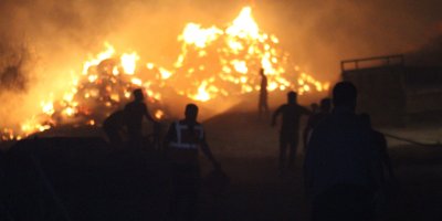 Kozan’da alevler evlere dayandı: Vatandaşlar kovalarla yangına müdahale etti