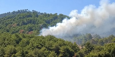 Kozan’da kontrol altına alınan ormanlık alanda yeniden yangın çıktı