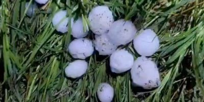 Yüreğir’de yumruk büyüklüğünde dolu tarım arazilerini vurdu