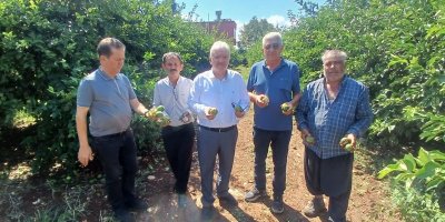Adana’da dolu yağışının ardından 35 bin dönüm tarım arazisinde hasar oluştu