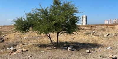 Adana’da boş arazide 35 yaşındaki kişinin cansız bedeni bulundu