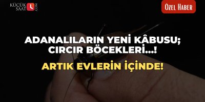 Adanalıların yeni kâbusu; Cırcır Böcekleri…! Artık evlerin içinde!