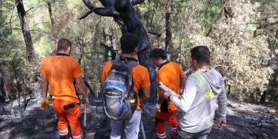 Kozan'da yanan 5 bin 900 hektarlık alanda yeniden yeşil vatan mesaisi başladı: Ağaçlar tek tek damgalanıyor
