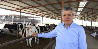 Ayhan Barut’tan şap salgını tepkisi: “Algıyı değil, büyüyen riski yönetin”