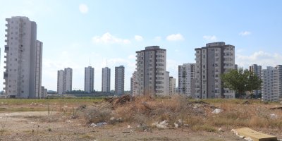 Adana’da cırcır böceği sesleri vatandaşları rahatsız ediyor