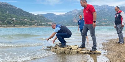 Kozan’da 665 bin sazan yavrusu baraj ve göletlere bırakıldı