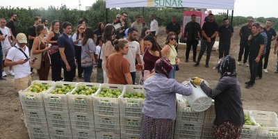 Sunar Yatırım'dan Lezzet Festivali kapsamında hasat etkinliği