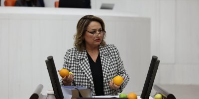 CHP'li Dr. Müzeyyen Şevkin, portakal, limon ve mandalinaları meclis kürsüsüne boşalttı