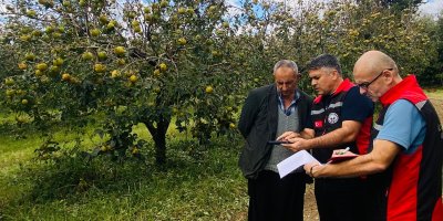 Kozan’da dolunun vurduğu tarım arazilerinde hasar tespiti başladı