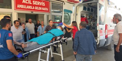 Kozan’da kestiği ağacın altında kalan emekli uzman çavuş ağır yaralandı