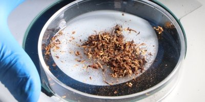 Sigara tütününde mikroplastik alarmı: Türkiye ikinci sırada