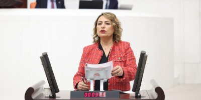 Müzeyyen Şevkin’den narenciye üreticileri için çağrı: “Çiftçi can çekişiyor”