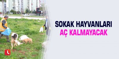 Sokak hayvanları aç kalmayacak