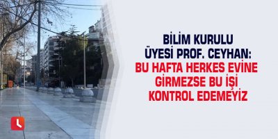 Bilim Kurulu Üyesi Prof. Ceyhan: Bu hafta herkes evine girmezse bu işi kontrol edemeyiz