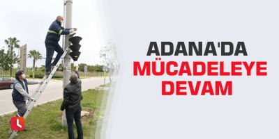 Adana'da mücadeleye devam