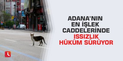 Adana’nın en işlek caddelerinde ıssızlık hüküm sürüyor