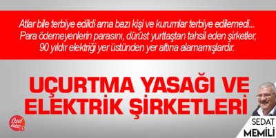 Uçurtma yasağı ve elektrik şirketleri