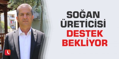 Soğan üreticisi destek bekliyor