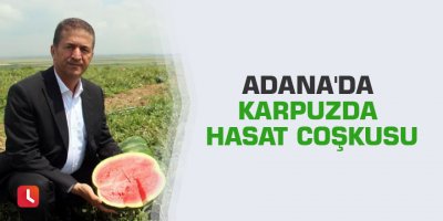 Adana'da karpuzda hasat coşkusu