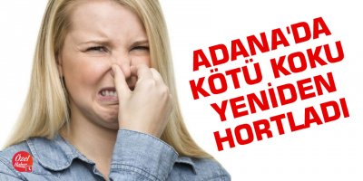 Adana'da kötü koku yeniden hortladı