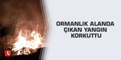 Ormanlık alanda çıkan yangın korkuttu