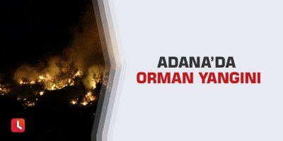 Adana’da orman yangını
