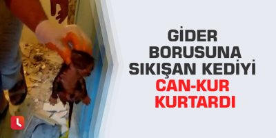 Gider borusuna sıkışan kediyi Can-Kur kurtardı
