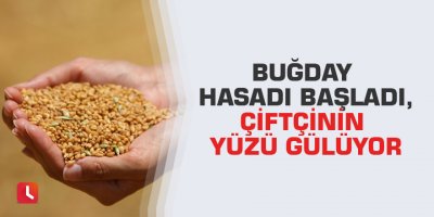 Buğday hasadı başladı, çiftçinin yüzü gülüyor