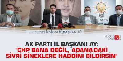 "CHP bana değil, Adana'daki sivri sineklere haddini bildirsin"