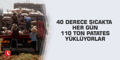 40 derece sıcakta her gün 110 ton patates yüklüyorlar