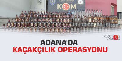 Adana'da kaçakçılık operasyonu