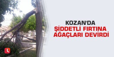 Kozan'da şiddetli fırtına ağaçları devirdi