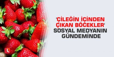 'Çileğin içinden çıkan böcekler' sosyal medyanın gündeminde