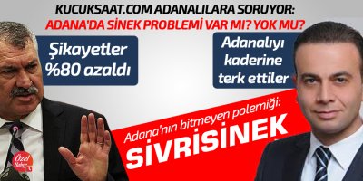 Adana'nın bitmeyen polemiği: Sivrinek
