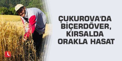 Çukurova'da biçerdöver, kırsalda orakla hasat