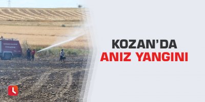 Kozan’da anız yangını