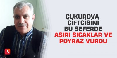 Çukurova Çiftcisini Bu Seferde Aşırı Sıcaklar Ve Poyraz Vurdu