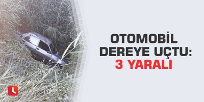 Otomobil dereye uçtu: 3 yaralı