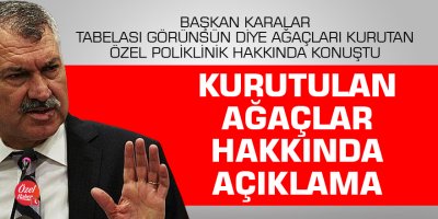 Başkan Karalar, Kurutulan ağaçlar hakkında konuştu