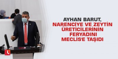 Ayhan Barut, narenciye ve zeytin üreticilerinin feryadını Meclis'e taşıdı
