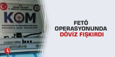 FETÖ operasyonunda döviz fışkırdı