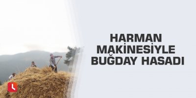 Harman makinesiyle buğday hasadı