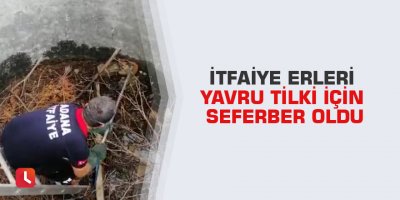 İtfaiye erleri yavru tilki için seferber oldu