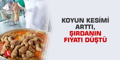 Koyun kesimi arttı, şırdanın fiyatı düştü